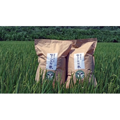 令和7年産「牛さんのお米」はるみ　10kg(5kg×2袋)