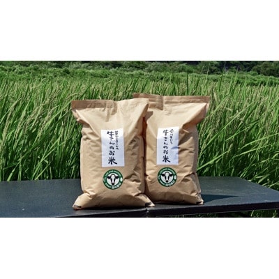 令和7年産「牛さんのお米」はるみ　6kg(3kg×2袋)