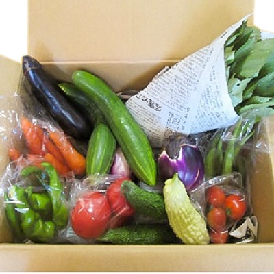 【愛川ブランド】自然農法の「季節のおまかせ野菜セット」【配送不可地域：離島・沖縄県】