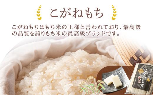 もちごめ最高峰使用☆杵つき新潟産こがね餅（570g×2袋）