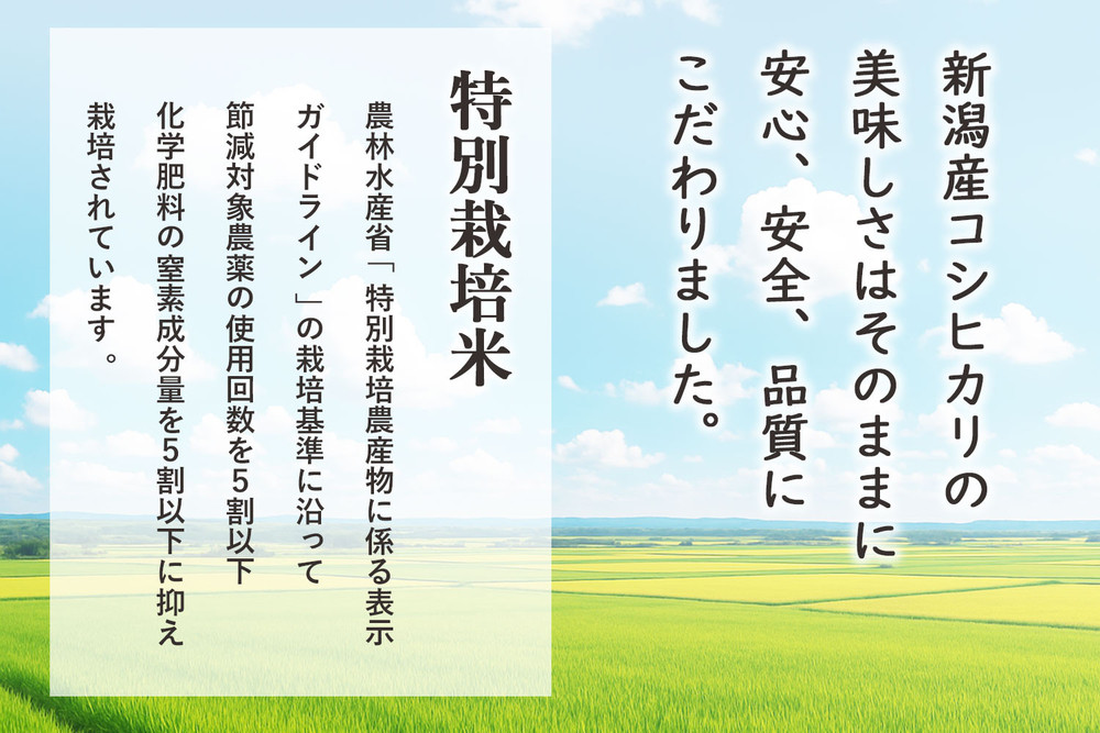 〈令和7年産 新米〉特別栽培米 新潟産コシヒカリ 5kg 精米 白米