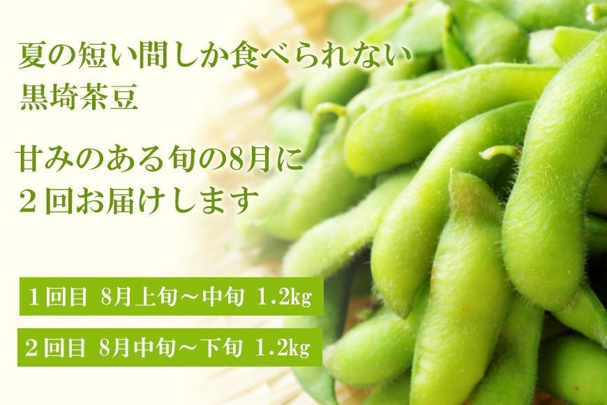 【先行予約 ２回お届け 定期便】くろさき茶豆1.2kg×２回  2026年8月発送 〈ＧＩ登録産品〉