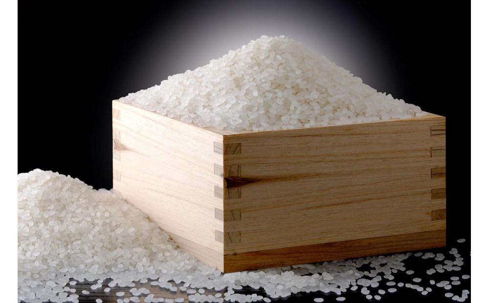 【令和7年産 】新潟県産こしひかり「秋の日」（白米10kg）【5kg×2袋】新潟県の美味しいお米。