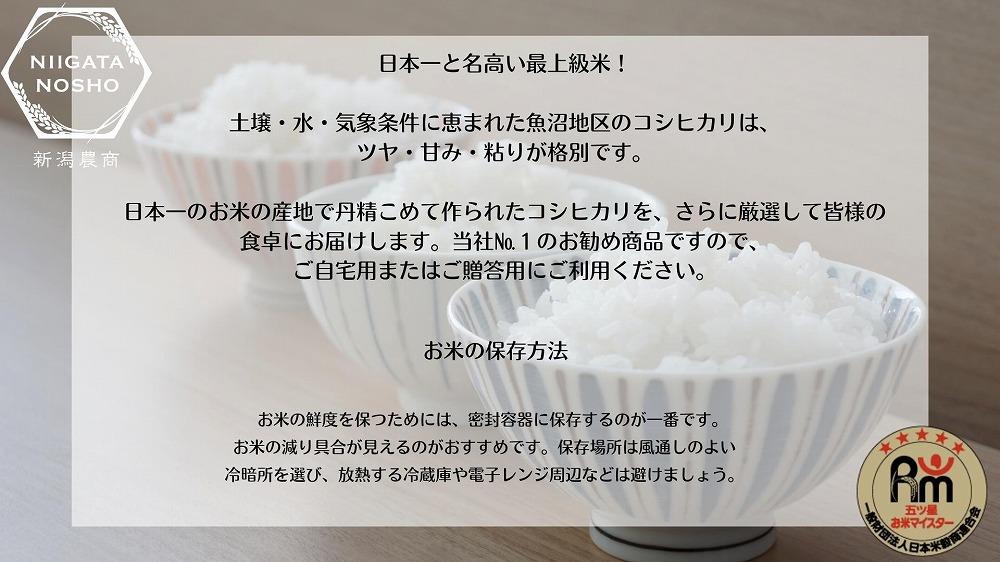 【令和7年産】五ッ星マイスター厳選　魚沼産コシヒカリ　5kg×2