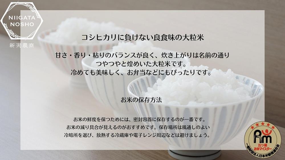 新潟県産虹の煌めき　5kg　
