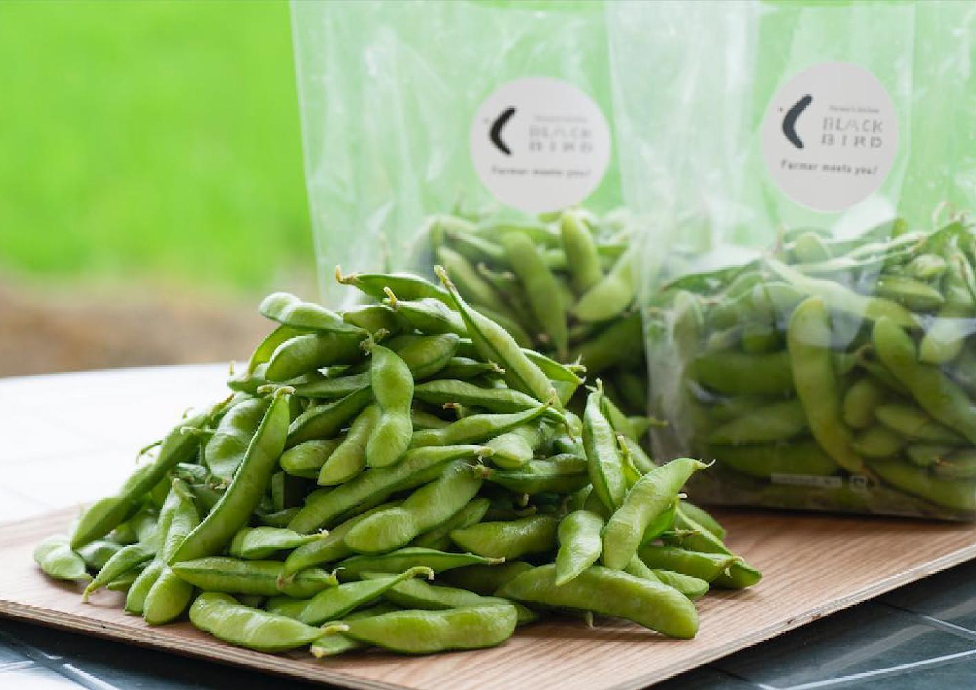 旬の「黒埼茶豆」(1kg)と新潟限定ビイル「風味爽快ニシテ」(350ml×12本)セット