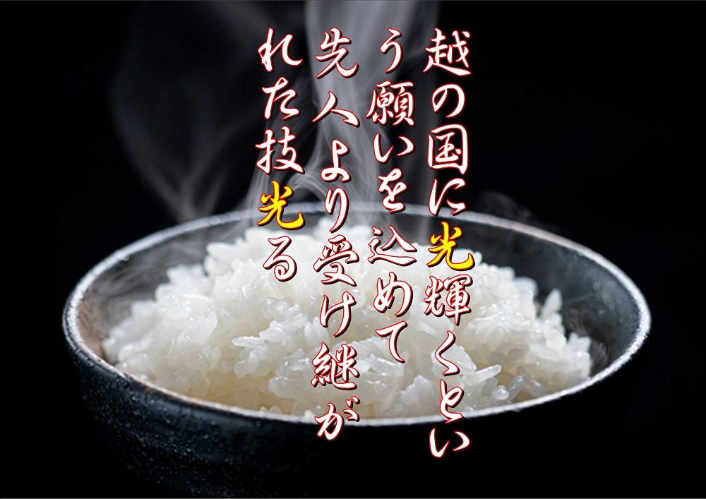【地域限定】南魚沼産コシヒカリ　5kg×2袋　新潟県　南魚沼　南魚沼産　こしひかり　米　お米