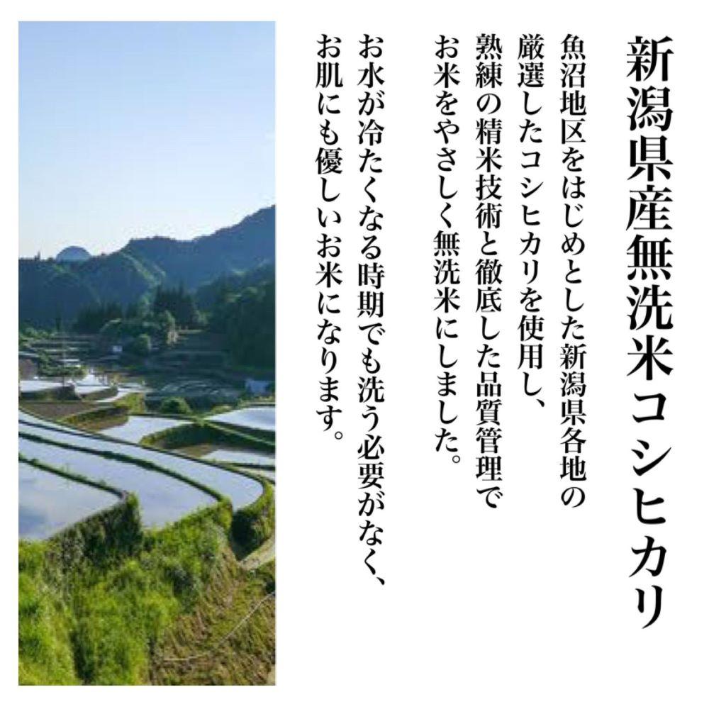 【令和7年度産新米】新潟県産コシヒカリ 無洗米 そのまんま真空パック 900ｇ×12袋