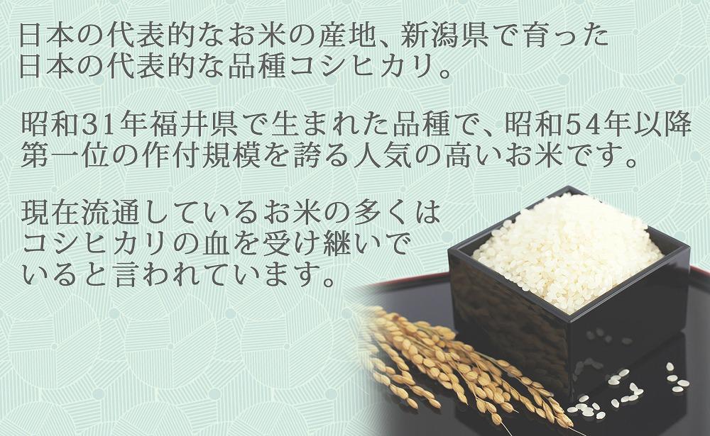 【定期便全12回】無洗米新潟県産コシヒカリ10kg（受注の翌月から毎月配送）｜新潟県　新潟　無洗米　こしひかり　米　おこめ　お米