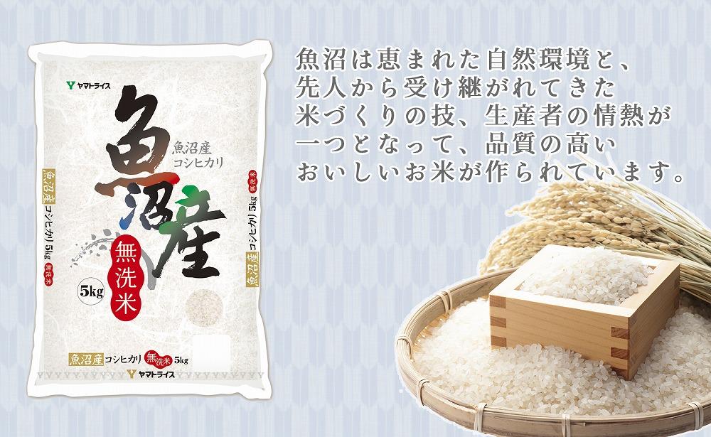 【定期便全6回】無洗米新潟県魚沼産コシヒカリ10kg（受注の翌月から毎月配送）｜新潟県　新潟　魚沼　無洗米　こしひかり　米　おこめ　お米