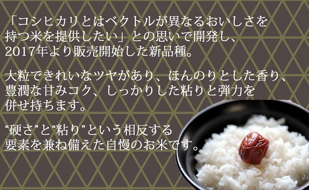 【定期便全12回】新潟県産新之助5kg（受注の翌月から毎月配送）｜新潟県　新潟　米　おこめ　お米
