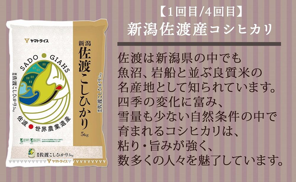 【定期便全6回】新潟県産米厳選食べ比べ 5kg（受注の翌月から毎月配送）｜新潟県　新潟　佐渡　佐渡産　コシヒカリ　こしひかり　魚沼産　魚沼　新之助　おこめ　お米