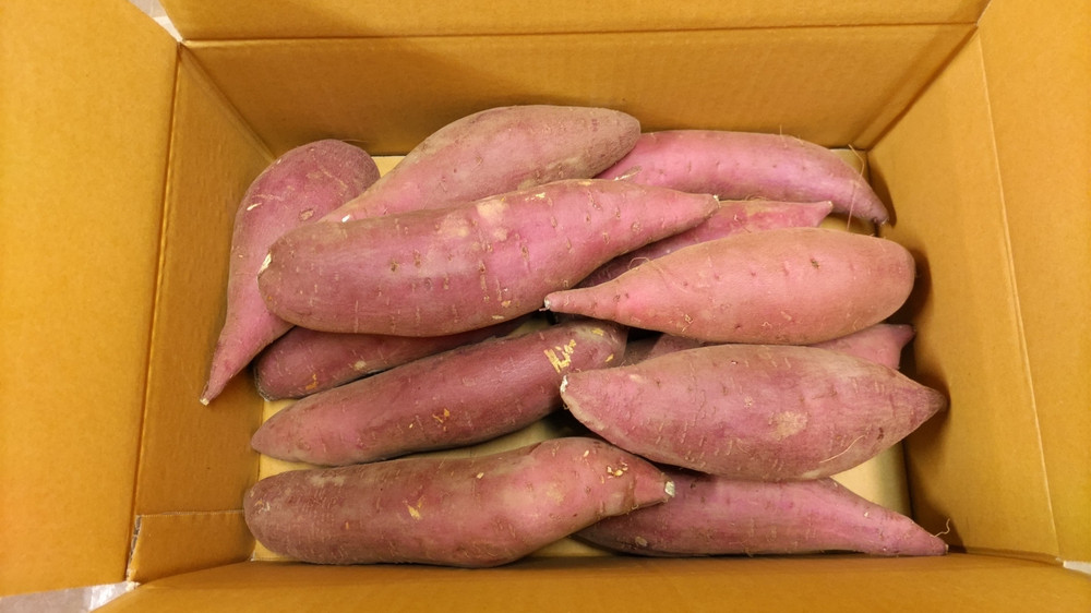 【2025年先行受付】新潟市西区産のさつまいも「いもジェンヌ」 5kg 【12月上旬より出荷予定】