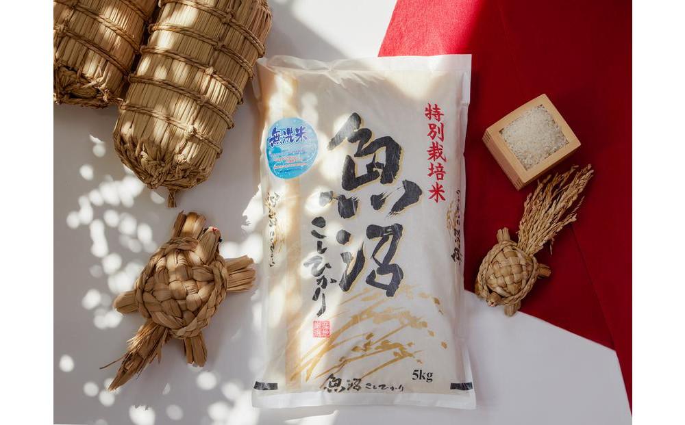 令和7年産　無洗米　魚沼産コシヒカリ特別栽培米　5kg×2