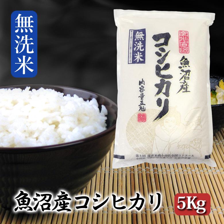 【令和7年産無洗米】お米マイスター厳選！魚沼産コシヒカリ５kg