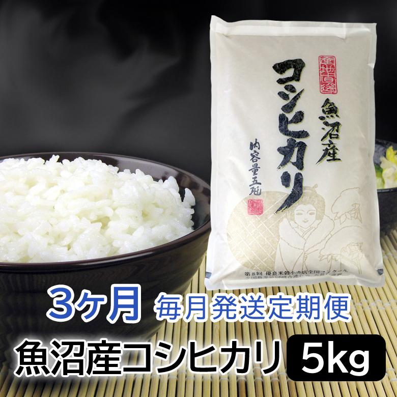 お米マイスター厳選！魚沼産コシヒカリ５kg×３ヶ月毎月発送　定期便