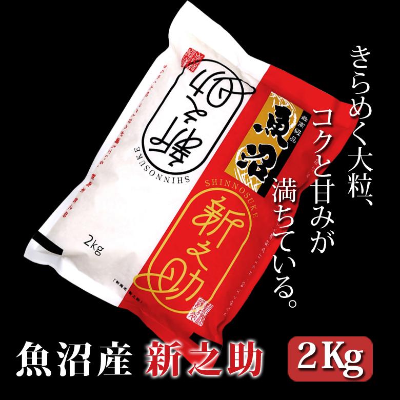 【令和7年産】お米マイスター厳選！魚沼産新之助　２kg　2025年10月中旬頃～発送開始　新潟県　魚沼　魚沼産　新之助　米