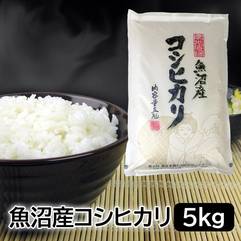 お米マイスター厳選！魚沼産コシヒカリ５kg×隔月6ヶ月　定期便