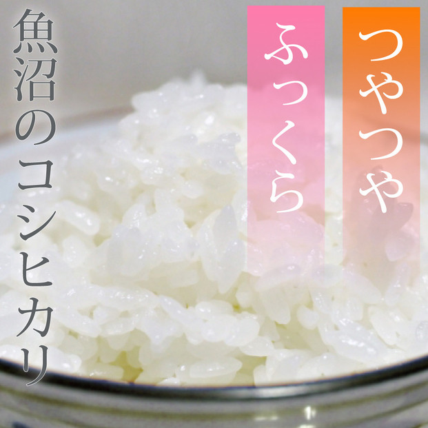 令和7年産 新潟県 魚沼産 無洗米 コシヒカリ600g(300gx2) 精米 一等米  天糧