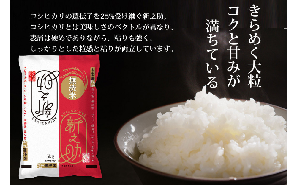 〈令和7年産 新米〉無洗米 新潟産 新之助 5kg 精米 