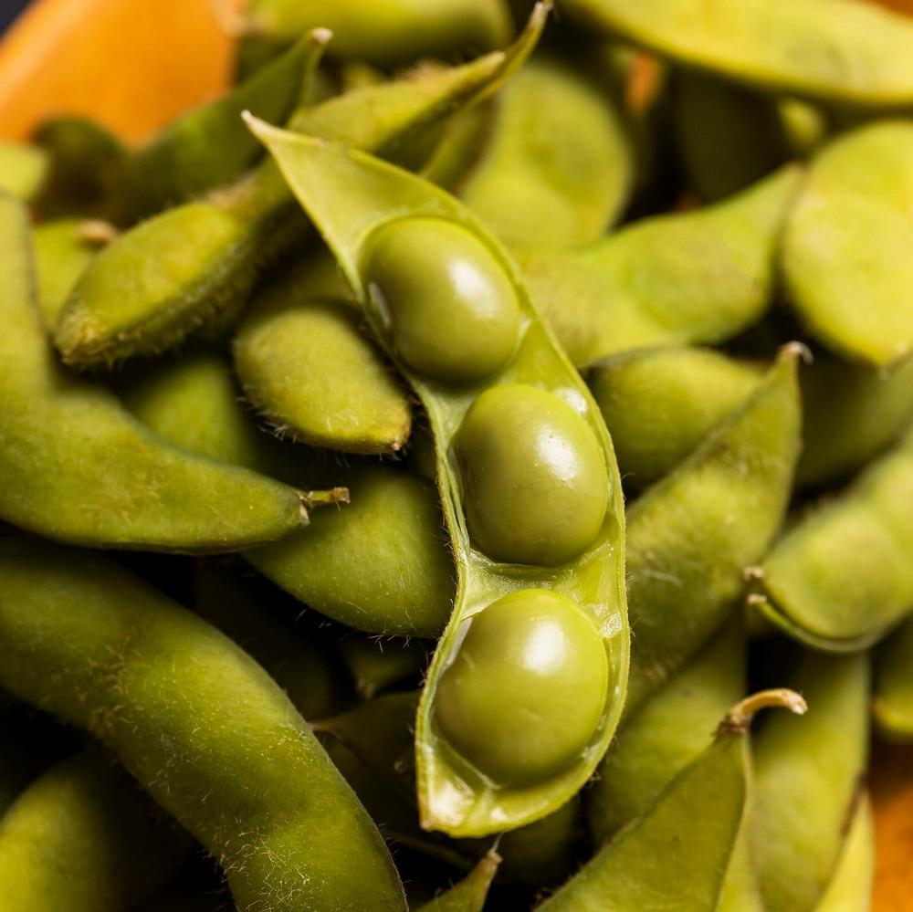 先行予約【新潟県産】くろさき茶豆　【１ｋｇ】　2026年8月～順次発送 新潟 新潟県 茶豆 枝豆 えだまめ お取り寄せ グルメ 1kg 1キロ おつまみ 豆