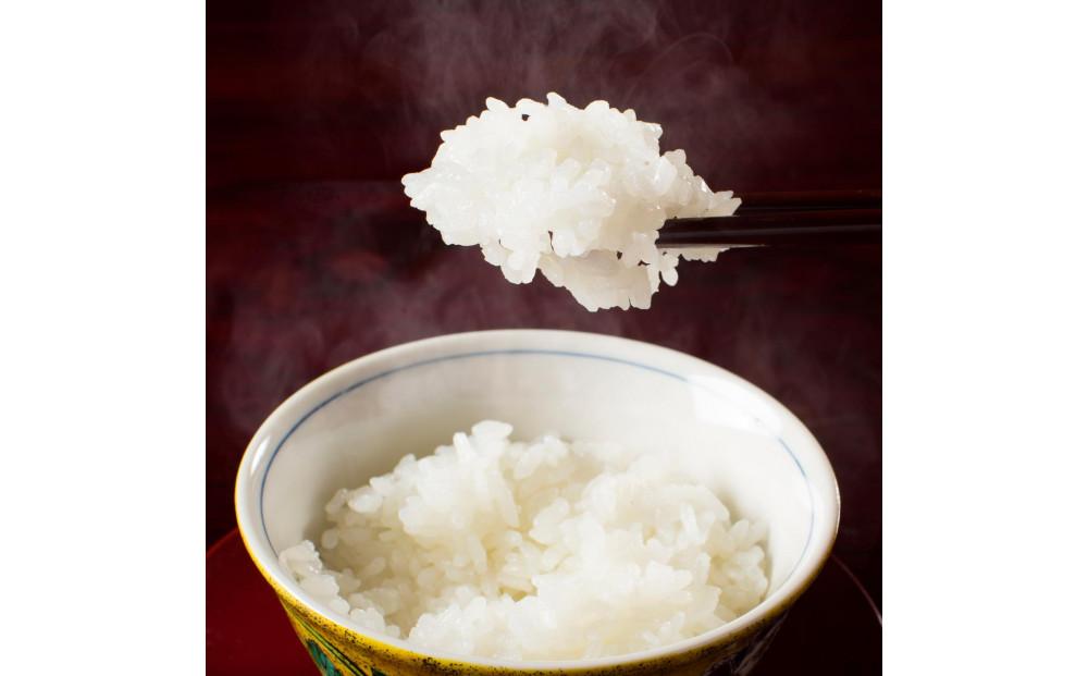 【令和7年産 】新潟県産こしひかり「秋の日」（無洗米10kg）【5kg×2袋】新潟県の美味しいお米。