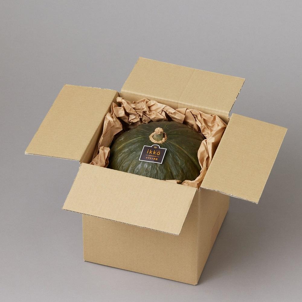 特別なかぼちゃ ikkaプレミアム【8月-9月発送】｜新潟　新潟県　カボチャ　かぼちゃ　南瓜