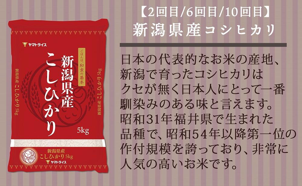 【定期便全12回】新潟県産米厳選食べ比べ 5kg（受注の翌月から毎月配送）｜新潟県　新潟　佐渡　佐渡産　コシヒカリ　こしひかり　魚沼産　魚沼　新之助　おこめ　お米