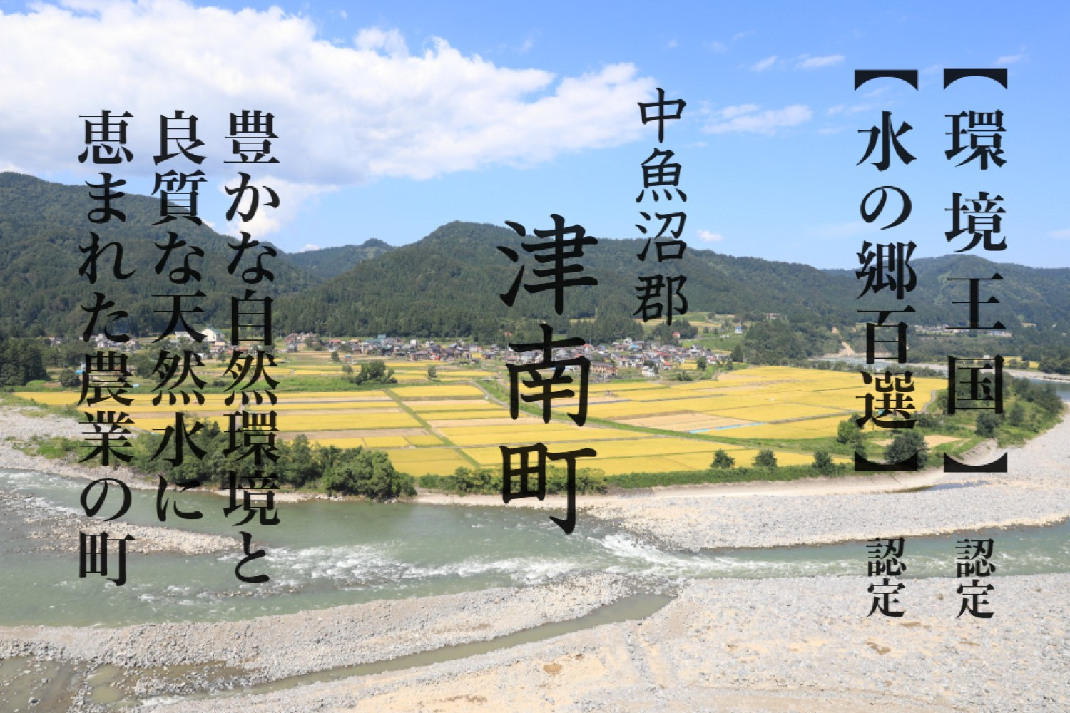 《 令和7年産  》 魚沼産コシヒカリ 5kg 一等米 ( 慣行栽培 )