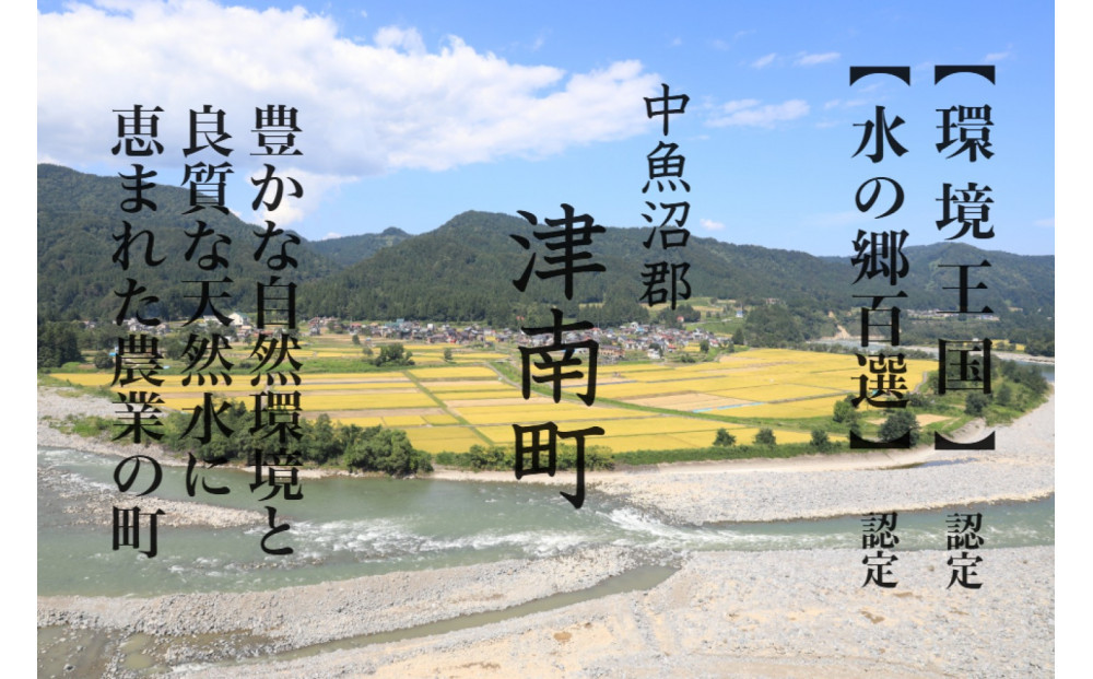 《 令和7年産  》 定期便 5kg × 12ヶ月 魚沼産コシヒカリ 一等米