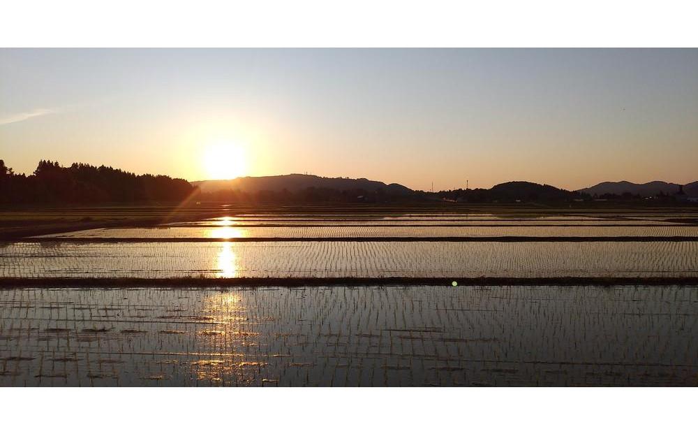 令和7年産【定期便3か月コース】無洗米　魚沼産コシヒカリ特別栽培米　5kg