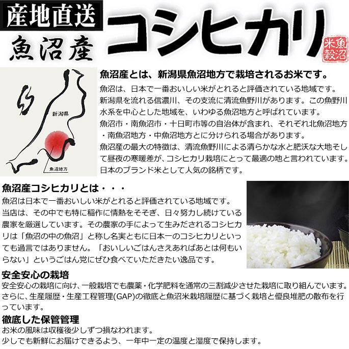 【令和7年産】お米マイスター厳選！魚沼産コシヒカリ5kg