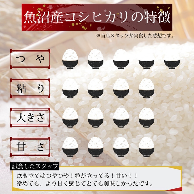 令和7年産 新潟県 魚沼産 無洗米 コシヒカリ600g(300gx2) 精米 一等米  天糧