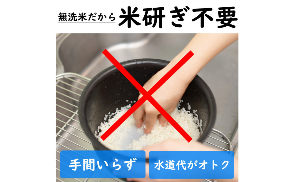 【定期便6回】令和7年産 新潟県 魚沼産 無洗米 コシヒカリ2kg 精米 一等米  天糧