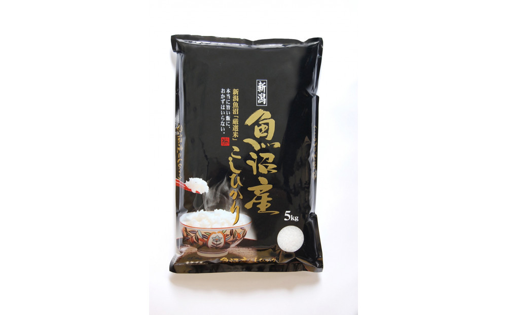 【無洗米】【令和７年産新米予約】【6か月定期便】10月発送開始《食味鑑定士厳選》日本棚田百選・十日町（魚沼）産こしひかり 10kg全6回