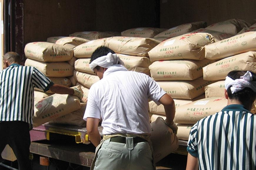 〈令和7年産 新米〉【定期便6カ月】 新潟産コシヒカリ 10kg×6回（計60kg）