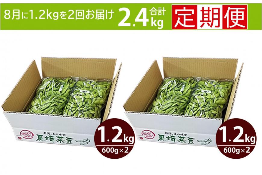 【先行予約 ２回お届け 定期便】くろさき茶豆1.2kg×２回  2026年8月発送 〈ＧＩ登録産品〉