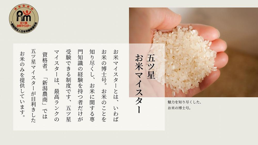 新潟県岩船産コシヒカリ　5kg×2