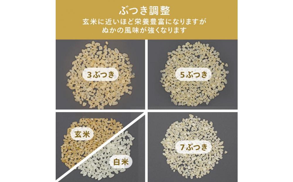 【ふるさと納税】【MR-E520W-A35】TWINBIRDコンパクト精米器×雪室熟成黄金豚セット