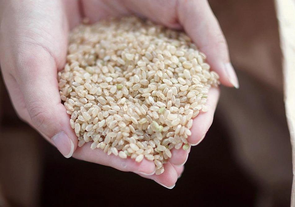 自然を食べる 麹チーズケーキ（こうじ香る）４～６人用（無添加・グルテンフリー）［里山ボタニカル］