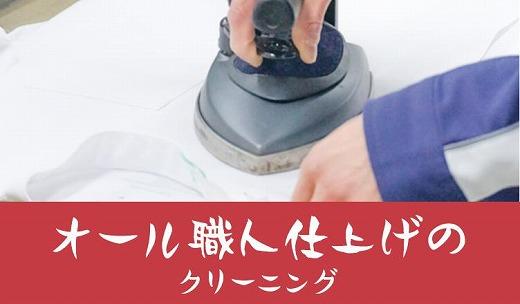 宅配クリーニング　保管20点パック　（最長10か月無料保管可能）