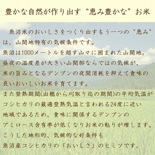 【定期便全6回】無洗米新潟県魚沼産コシヒカリ10kg（受注の翌月から毎月配送）｜新潟県　新潟　魚沼　無洗米　こしひかり　米　おこめ　お米