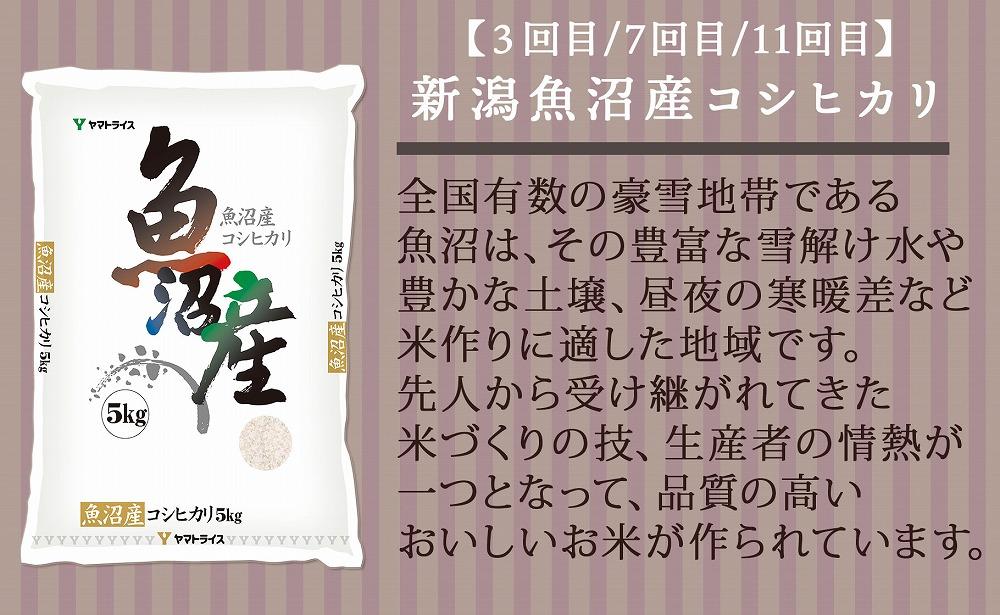 【定期便全12回】新潟県産米厳選食べ比べ 5kg（受注の翌月から毎月配送）｜新潟県　新潟　佐渡　佐渡産　コシヒカリ　こしひかり　魚沼産　魚沼　新之助　おこめ　お米