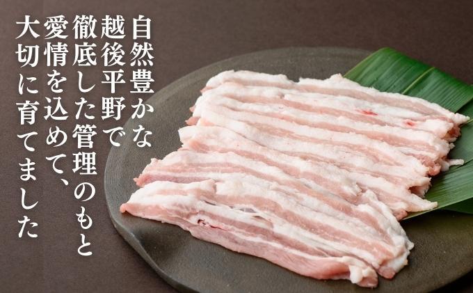 越後もちぶた(新潟県産和豚もちぶた) バラしゃぶしゃぶ用1kg