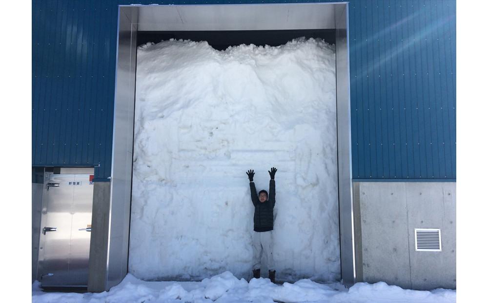 雪室貯蔵米 魚沼産つきあかり５kg（令和7年産）