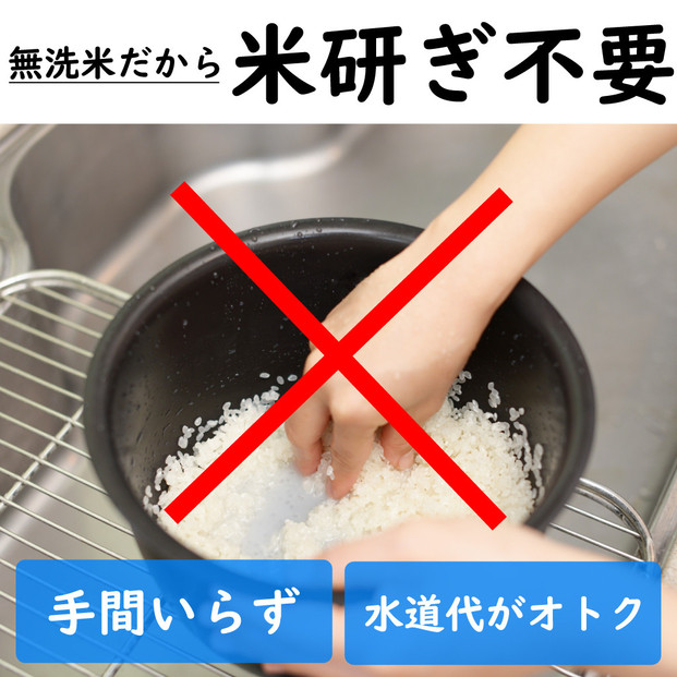令和7年産 新潟県 魚沼産 無洗米 コシヒカリ600g(300gx2) 精米 一等米  天糧