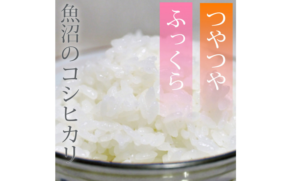 令和7年産 新潟県 魚沼産 無洗米 コシヒカリ4kg(2kgx2) 精米 一等米  天糧