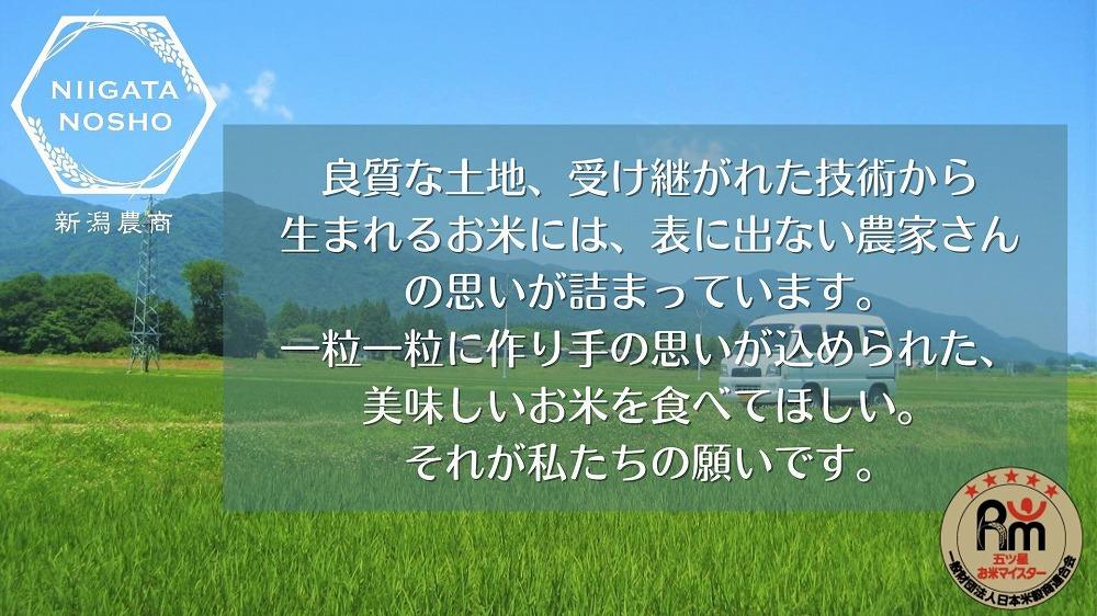 新潟県岩船産コシヒカリ　5kg×2