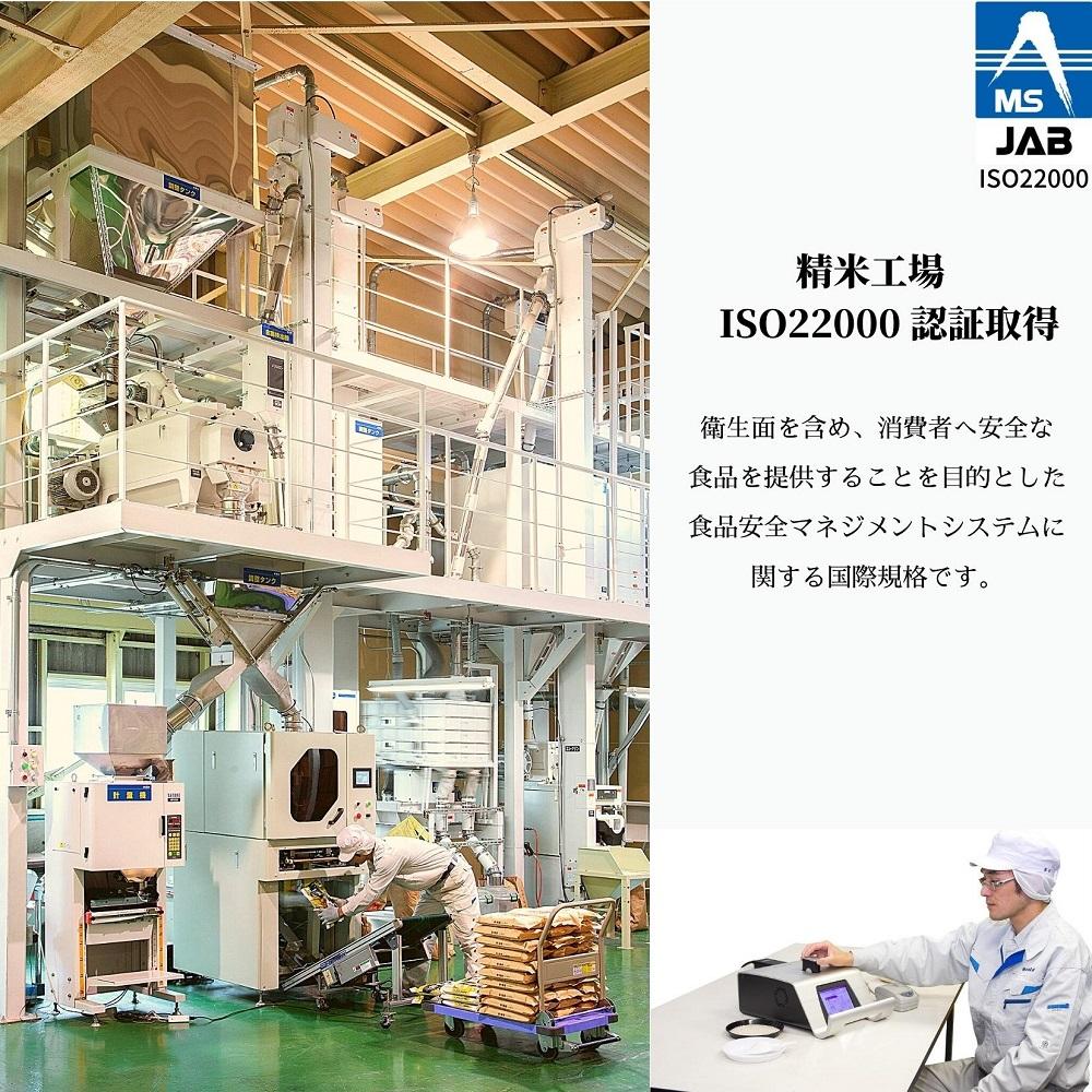 五ッ星マイスター厳選 　佐渡産こしひかり 5kg×2