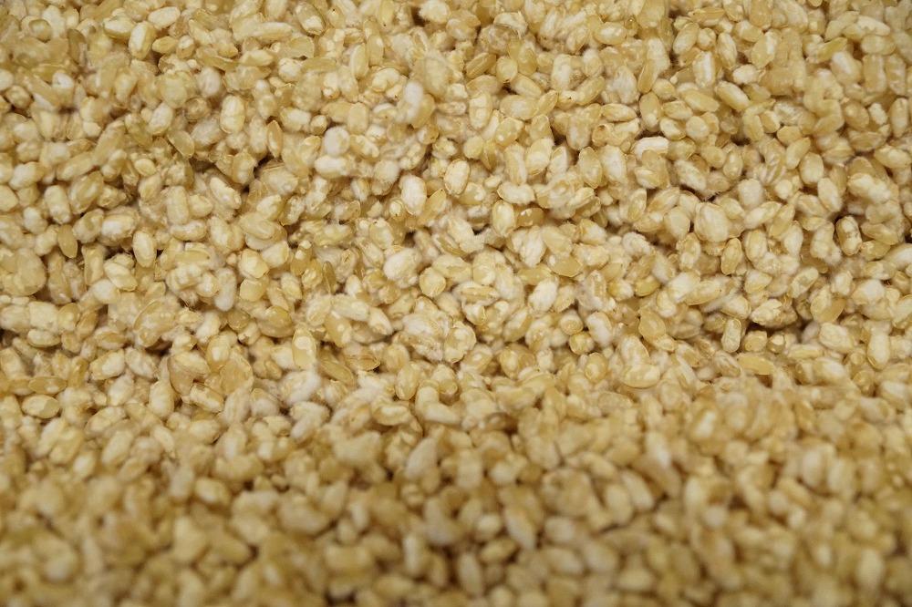 自然を食べる 麹チーズケーキ（こうじ香る）４～６人用（無添加・グルテンフリー）［里山ボタニカル］